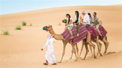 Desert Safari in Ras Al Khaimah - tickets, prices, what to expect