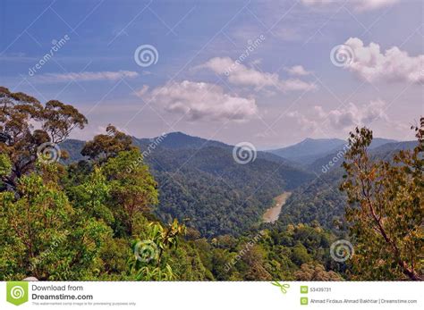 Pahang National Park, Malaysia. Stock Image - Image of rain, forest: 53439731