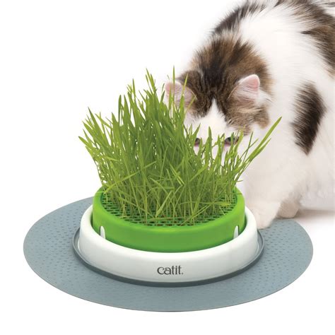 Catit 2.0 Cat Grass Planter Kit with Starter Grass Pack INCLUDED Ready ...