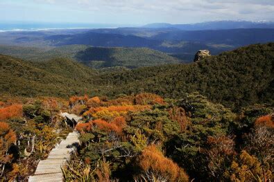 Hump Ridge Track Photos | Hiking New Zealand