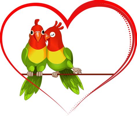 Love Birds | PNG All