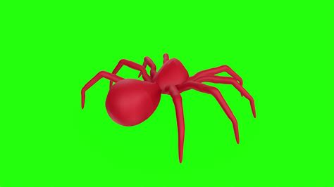 spider on a green background 20153928 Stock Video at Vecteezy