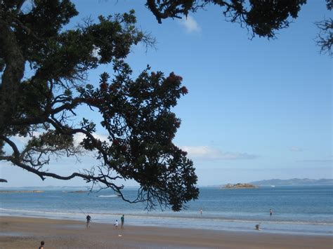 Coopers Beach, New Zealand | Beach, New zealand, Kerikeri