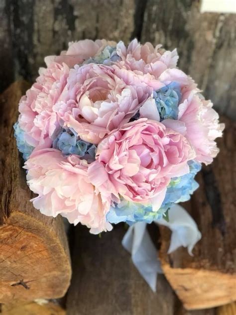 Bridal bouquet of blue hydrangea and pink peony created by Lovely ...