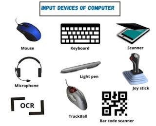 Computer Education: BBA :- Input Devices