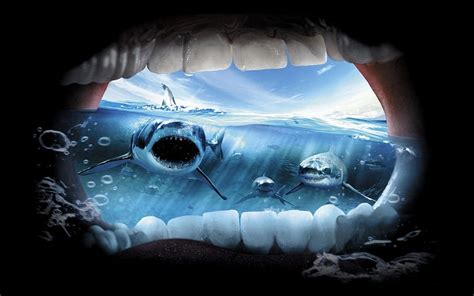 Shark teeth, teeth, animal, shark, ocean HD wallpaper | Pxfuel