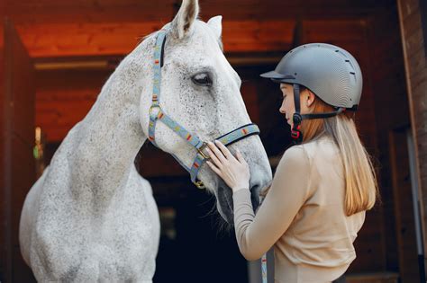 Horse Communication with Humans