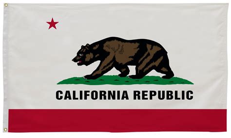 California State Flag 12" x 18" | California Flag | State of California ...