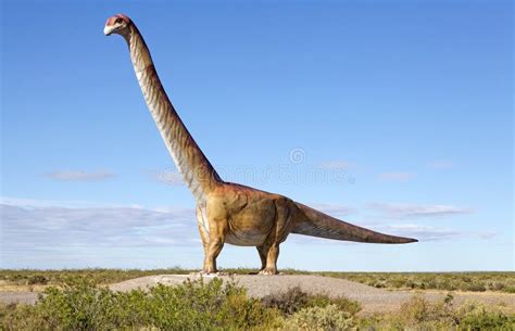 Dinosaur, Patagotitan Mayorum, Patagonia, Argentina Stock Image - Image ...