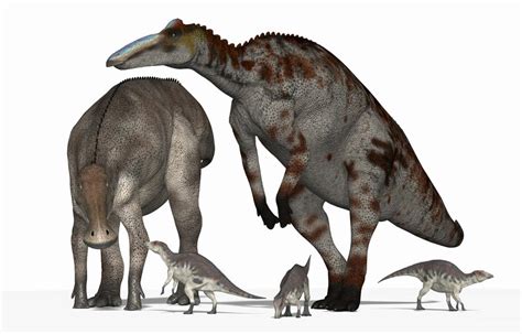 Anatotitan (aka Edmontosaurus annectens) by PaleoGuy on DeviantArt