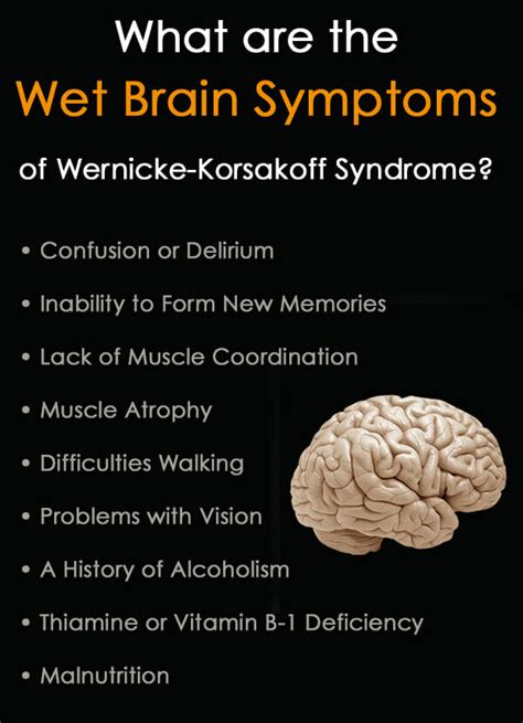 What Is Wet Brain Syndrome? Wernicke-Korsakoff Syndrome