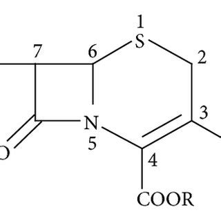 General structure of 3-chloromethyl cephalosporin. | Download Scientific Diagram