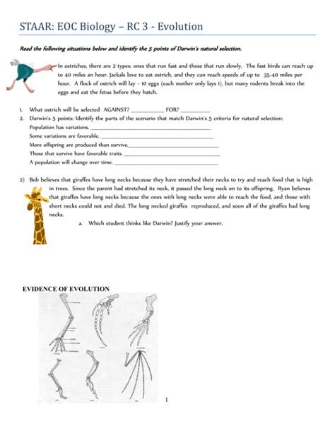 Darwin039s Natural Selection Worksheet Answers