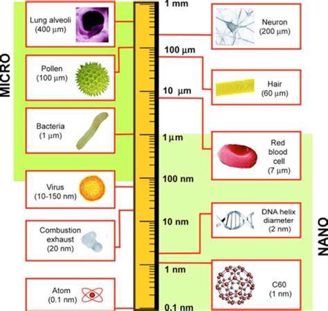 Logarithmical length scale showing size of nanomaterials compared to ...