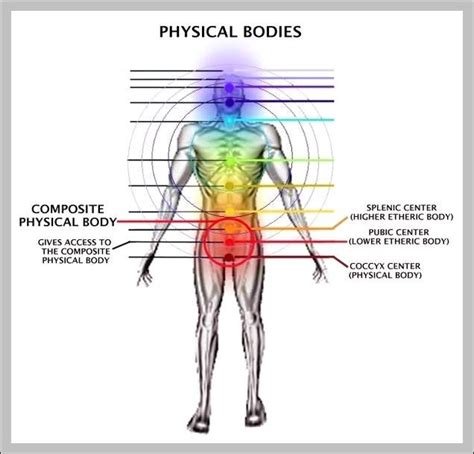 Dyson Dc35 Parts Diagram