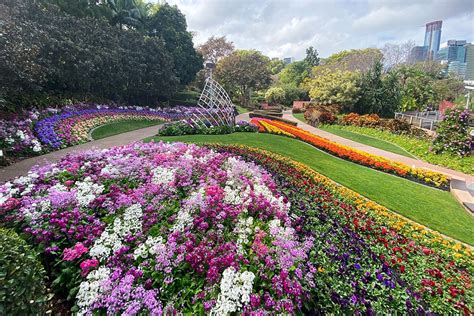 Best Spring Gardens In Brisbane | Must Do Brisbane