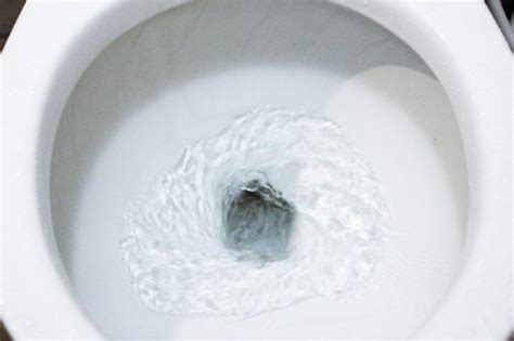 Non-stick toilet coating sends poop right down the drain - Owl Connected