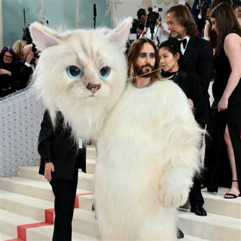 The Best Memes From the 2023 Met Gala