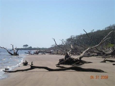 Little Talbot Island State Park - Alchetron, the free social encyclopedia