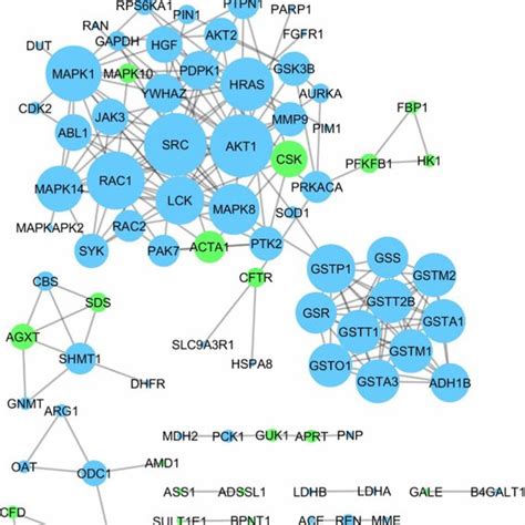 Protein–protein interaction network. Protein–protein interactions were... | Download Scientific ...