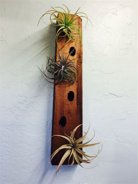 A personal favorite from my Etsy shop https://www.etsy.com/listing/457095684/airplant-wall ...