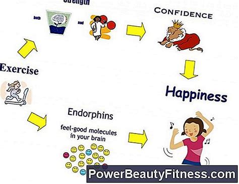 Exercise And Serotonin Endorphins 💪 All About Fitness And Healthy Lifestyles - 2024