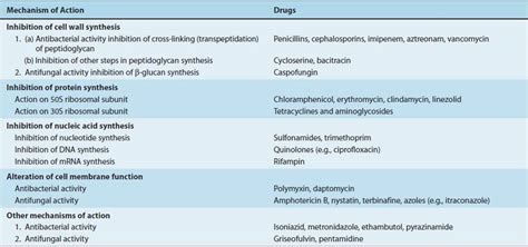 Antifungal Drugs Mechanism