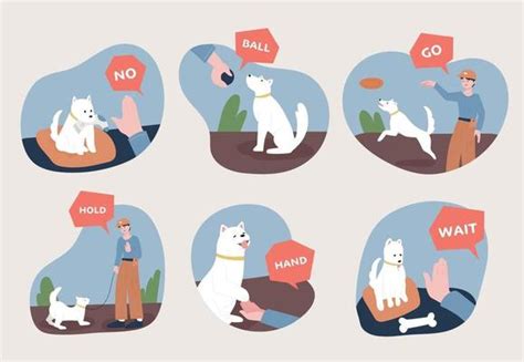 Dog Commands Vector Art, Icons, and Graphics for Free Download