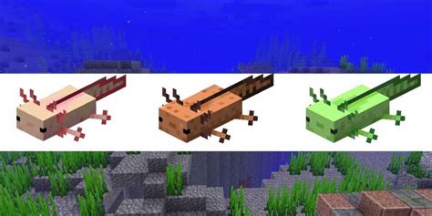 All Axolotl Colors in Minecraft - Pro Game Guides