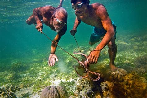 Bajau Tribesmen Can Hold Their Breath Underwater for 13 Minutes ...