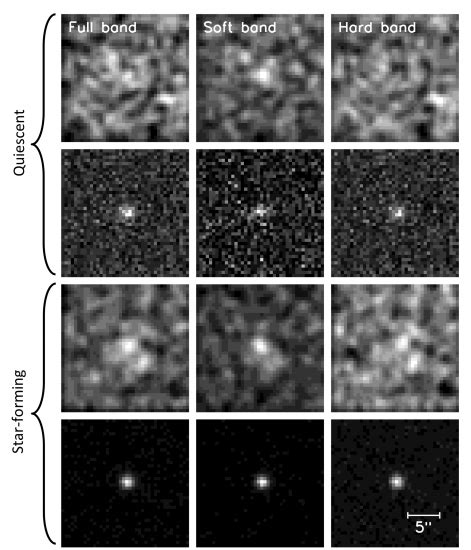 Active Galactic Nuclei: How to Stop Star Formation | astrobites