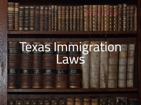 Texas Immigration Laws 2023 | Senate Bill 4 & Voting Laws