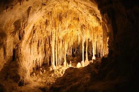 Carlsbad Cavern - Picture of King's Palace, Carlsbad Caverns National ...