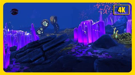 Enshrouded Ambience of Subnautica Below Zero - Shadow Leviathan Lair in Crystal Cave Biome - YouTube