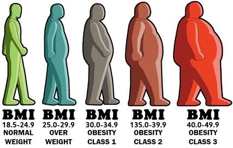Calculate Your BMI |BMI Calculator - HealthyLife