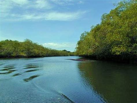 Tamarindo Wildlife Refuge Costa Rica - CostaRicaInfoLink.com