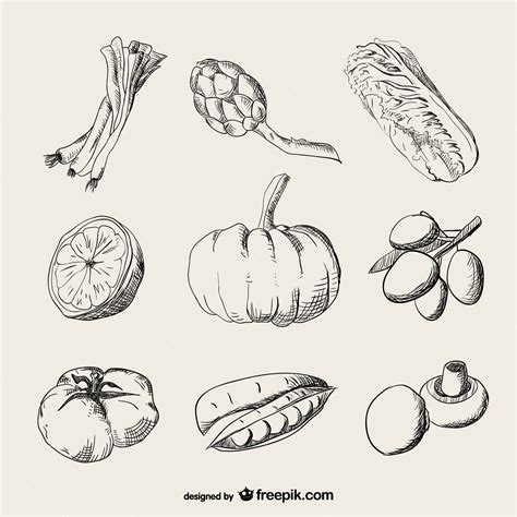 Free Vector | Realistic drawing vegetables