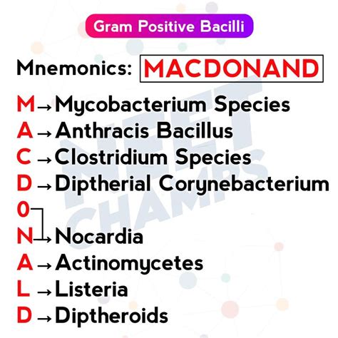 Trick to remember gram positive bacteria | Microbiology study, Medical laboratory science ...