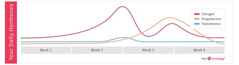 Lv 3 In 1 Bag Menstrual Cycle | Literacy Basics