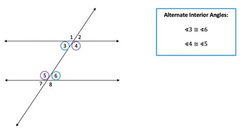 Angles In A Transversal