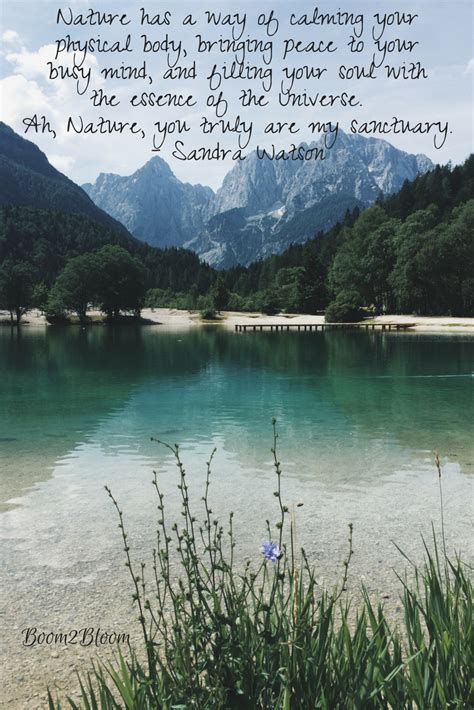 Nature is My Sanctuary - Quotes About Nature Ebook ~ Boom2Bloom.com | Nature quotes, Nature ...