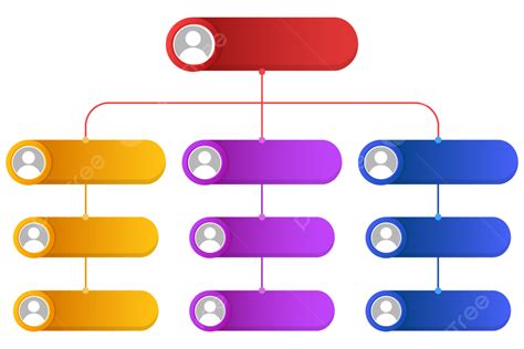 Organizational Structure Chart In Red Yellow Purple And Blue Colors ...