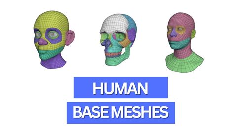 How to use Blenders new human base meshes for 3d character design - YouTube