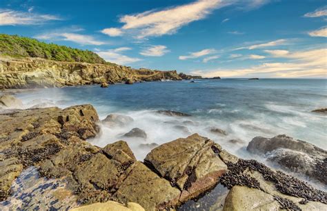 Salt Point State Park Camping Guide - Beyond The Tent