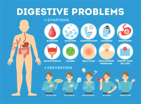 Premium Vector | Infographic with intestine problems. diarrhea and ...