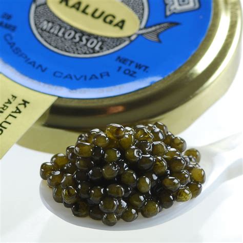 Fresh Kaluga Caviar "Malossol" has a large dark amber pearl. The taste ...