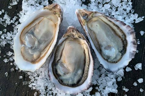 Sustainable Pacific Oyster Farming | NOAA Fisheries