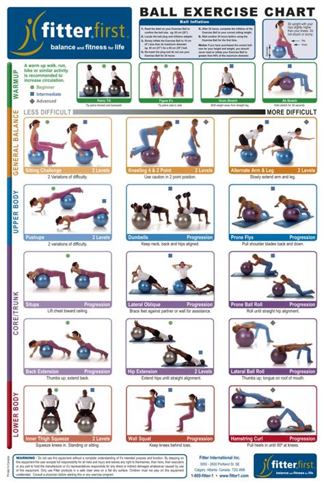 Ball Exercise Plan Infographic