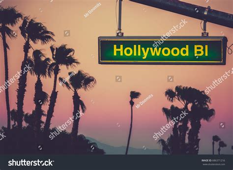 Hollywood Blvd Sign Sunset Palm Trees Stock Photo 686371216 | Shutterstock