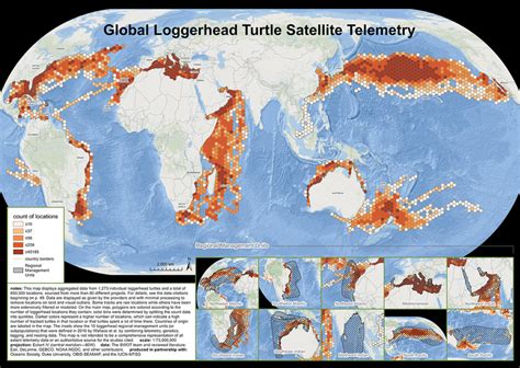 Printed Maps — The State of the World's Sea Turtles | SWOT